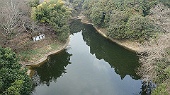p3080432_thumb.jpg