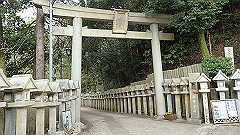 p3080439_thumb.jpg