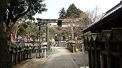 p3080441_thumb.jpg