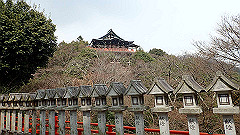 p3080445_thumb.jpg