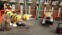 p3080447_thumb.jpg