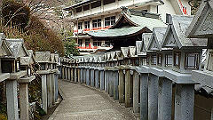 p3080449_thumb.jpg