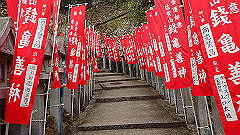 p3080452_thumb.jpg