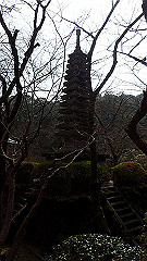 p3080453_thumb.jpg