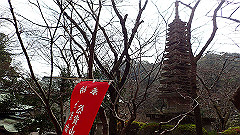 p3080454_thumb.jpg