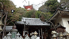 p3080455_thumb.jpg