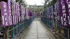 p3080457_thumb.jpg