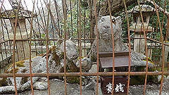 p3080458_thumb.jpg