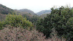 p3080466_thumb.jpg