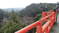 p3080469_thumb.jpg