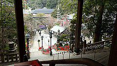 p3080473_thumb.jpg