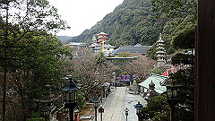 p3080474_thumb.jpg
