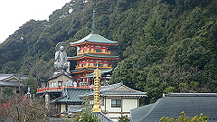 p3080475_thumb.jpg