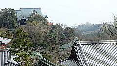 p3080480_thumb.jpg