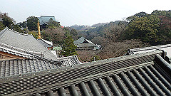p3080485_thumb.jpg