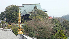 p3080486_thumb.jpg