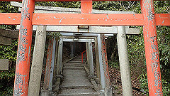 p3080494_thumb.jpg