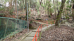 p3080496_thumb.jpg