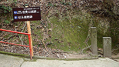 p3080497_thumb.jpg