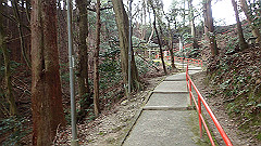 p3080498_thumb.jpg
