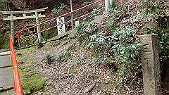 p3080499_thumb.jpg