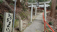 p3080500_thumb.jpg