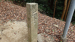 p3080501_thumb.jpg