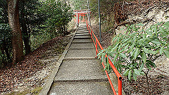 p3080502_thumb.jpg