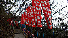 p3080503_thumb.jpg