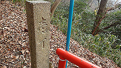 p3080505_thumb.jpg