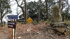 p3080507_thumb.jpg
