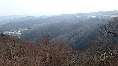 p3080514_thumb.jpg