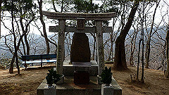 p3080518_thumb.jpg