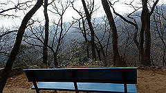 p3080522_thumb.jpg