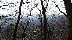 p3080525_thumb.jpg