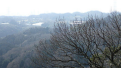p3080527_thumb.jpg