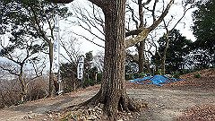 p3080530_thumb.jpg