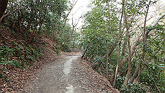 p3080531_thumb.jpg