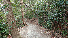 p3080532_thumb.jpg