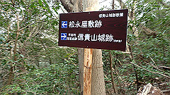 p3080533_thumb.jpg