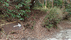 p3080535_thumb.jpg