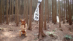 p3080539_thumb.jpg