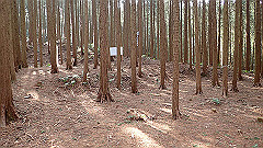 p3080540_thumb.jpg