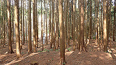 p3080541_thumb.jpg