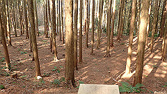 p3080542_thumb.jpg