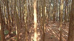 p3080545_thumb.jpg