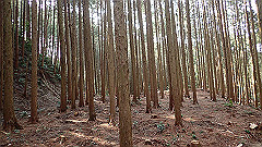 p3080546_thumb.jpg