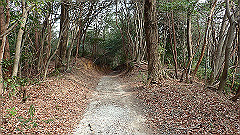 p3080549_thumb.jpg