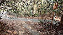 p3080550_thumb.jpg