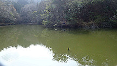 p3080551_thumb.jpg